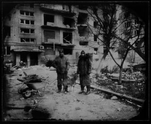 Chehov street inhabitants. Bakhmut December 13th 2022