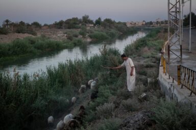 A shepherd herds his flock of sheep on the banks of theEuphrates River in Deir al-Zour, Syria, August 21, 2025. The river divides forces loyal to the new Syrian government and the SDF. Photo by Nicole Tung (VII Photo, for The New York Times)